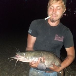 Meet your Posher, Dalton